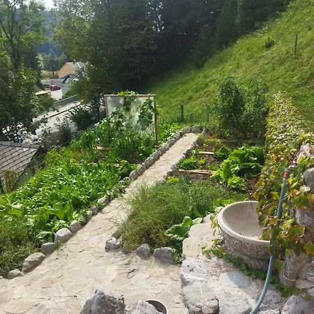 Apartma Rudi شقة بيغونيي نا غورينيسكِ