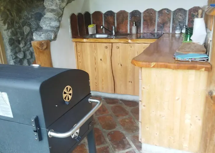 Apartma Rudi * בגונג'ה נה גורנג'סקם